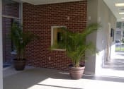 Thumbnail 10 of 12 - walkway with large windows and potted plants