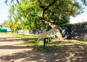 Thumbnail 14 of 39 - dog friendly apartments in san antonio texas