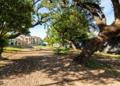Thumbnail 16 of 39 - apartments in san antonio with a dog park