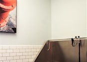 Thumbnail 27 of 82 - Pet_Wash at Holmes Beverly, Massachusetts, 01915
