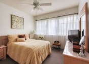 Thumbnail 20 of 23 - bedroom with large bank of windows and ceiling fan