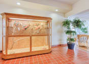 Thumbnail 15 of 23 - small aviary by lobby with birds and nests