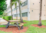 Thumbnail 4 of 23 - picnic area surrounded by palms outside of Villa Madonna