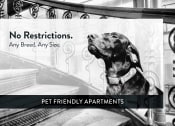 Thumbnail 21 of 27 - pet friendly, St. Paul, Minnesota