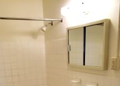 Thumbnail 14 of 19 - English Conway Bathroom, St. Paul, Minnesota
