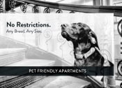Thumbnail 19 of 20 - Adrian Street Flats Pet Friendly, St. Paul, Minnesota