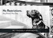Thumbnail 37 of 39 - Charlton Park pet friendly