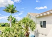 Thumbnail 16 of 16 - apartment exterior with towering palm trees