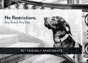 Thumbnail 23 of 31 - Pet Friendly, Minneapolis, Minnesota