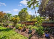 Thumbnail 9 of 12 - lush garden at Villa Vincente with potted plants and mature trees