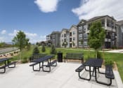 Thumbnail 46 of 62 - Picnic Area at Watermark at Harvest Junction, Colorado, 80501