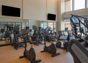 Thumbnail 66 of 75 - indoor gym with rows of elipticals, treadmills, and workout bicycles at The Apex at CityPlace, Kansas, 66210