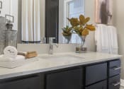 Thumbnail 72 of 78 - Modern Pointe at Prosperity Village Bathroom Fittings in North Carolina Rental Homes
