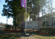 Thumbnail 6 of 18 - entrance signage and flag at Autumn Chase Apartments