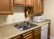 Thumbnail 8 of 18 - stainless steel sink and fire extinguisher in kitchen