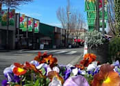 Thumbnail 12 of 13 - Street with flowers at Arterra Woods, Bothell, 98011