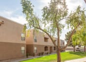Thumbnail 22 of 25 - Lush Green Outdoor Spaces at Ranchwood Apartments, Arizona