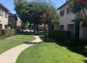 Thumbnail 6 of 11 - Nees Park Walkways