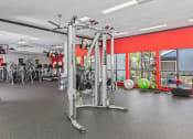 Thumbnail 38 of 41 - Fitness Center at Northgreen at Carrollwood, Tampa