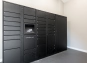 Thumbnail 40 of 41 - Package Locker at Northgreen at Carrollwood, Florida, 33624