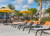 Thumbnail 29 of 41 - Relax Chairs at Northgreen at Carrollwood, Tampa
