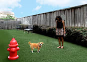 Thumbnail 9 of 28 - Luxury apartments with off-leash dog park at Tuscany Court Apartments in Houston.