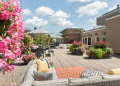 Thumbnail 3 of 21 - Apartments for Rent with Roof Deck in Brookline, MA