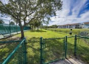 Thumbnail 26 of 42 - The Landings at Boot Ranch | Palm Harbor FL