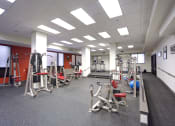 Thumbnail 12 of 28 - The Carling Apartments | Jacksonville, FL | Fitness Center