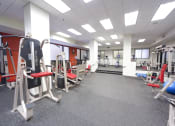 Thumbnail 13 of 28 - The Carling Apartments | Jacksonville, FL | Fitness Center
