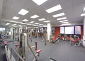 Thumbnail 14 of 28 - The Carling Apartments | Jacksonville, FL | Fitness Center