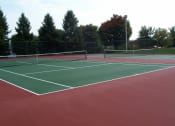 Thumbnail 23 of 41 - Brighton lighted tennis court