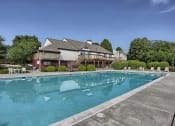 Thumbnail 19 of 41 - Olympic size swimming pool