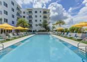 Thumbnail 23 of 28 - Pool View at Altis Little Havana, Miami, 33135