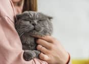 Thumbnail 23 of 61 - Cat Friendly at Vue at Bluestone, Duluth, Minnesota