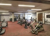 Thumbnail 48 of 61 - Cardio Studio Equipment at Vue at Bluestone, Duluth, MN, 55803