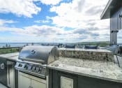 Thumbnail 59 of 61 - Grill Station at Vue at Bluestone, Duluth