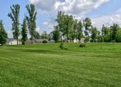 Thumbnail 9 of 13 - Green space