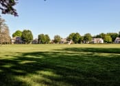 Thumbnail 7 of 22 - Green Space