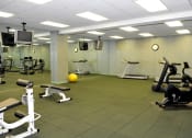 Thumbnail 17 of 32 - treadmills, eliptical, and bikes