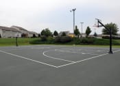 Thumbnail 19 of 32 - full size basketball court