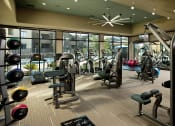 Thumbnail 9 of 23 - fitness center
