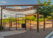 Thumbnail 11 of 23 - dog ranch