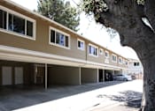 Thumbnail 1 of 22 - A tree is in front of a building.