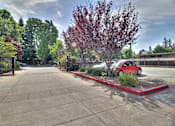 Thumbnail 11 of 25 - A red car is parked in a driveway with a tree in front of it.