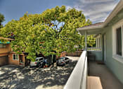 Thumbnail 6 of 27 - A tree with green leaves is in front of a house.