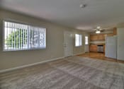 Thumbnail 8 of 15 - A large empty room with a carpeted floor and a window with blinds.