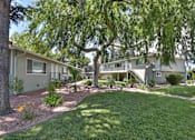 Thumbnail 2 of 42 - A tree in a yard with a building in the background.