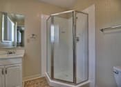 Thumbnail 17 of 21 - A bathroom with a walk-in shower and a toilet.