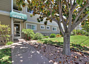 Thumbnail 2 of 21 - a sidewalk in front of an office building with a tree